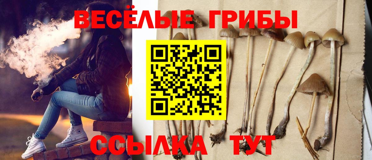 Сарапул  Галлюциногенные грибы прущие грибы  Галлюциногенные грибы мухоморы  Вход с VPN 